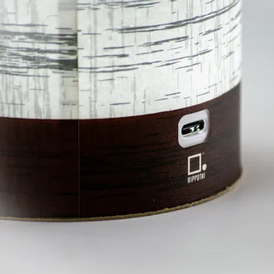 Decorative objects - KAMI, the ecological paper lantern - RIPPOTAI