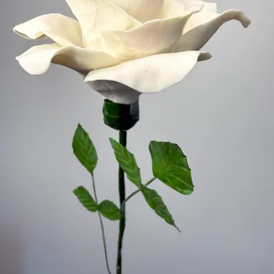 Ceramic - Large porcelain rose - FLEURIR L AVENIR