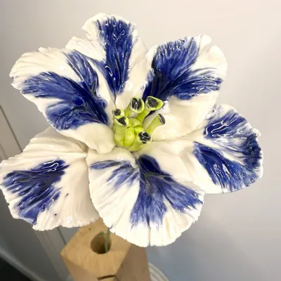 Ceramic - Parrot Tulip - FLEURIR L AVENIR