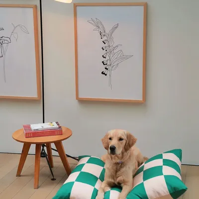 Tissus d'extérieur - Le lit pour chien Fritz - APPROVED BY FRITZ