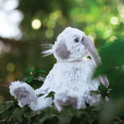 Soft toy - Plush Character Collection - WRENDALE DESIGNS