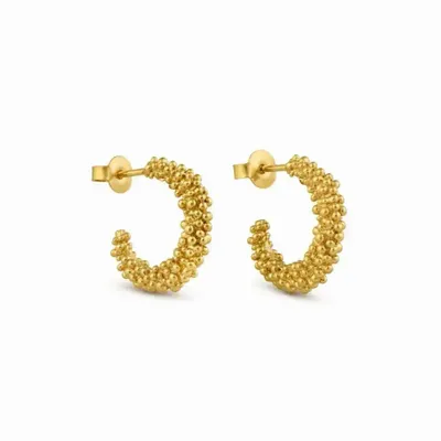 Jewelry - MEDIUM GOLDEN HOOP EARRINGS STARDUST - JOIDART