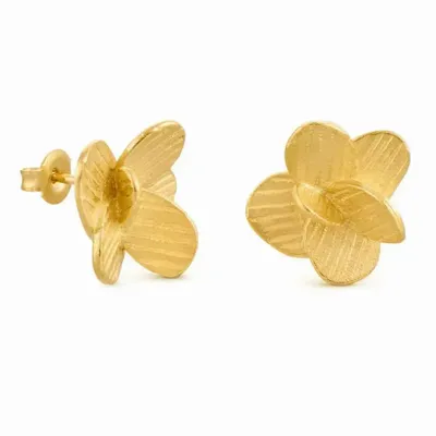 Bijoux - BOUCLES D'OREILLES DORÉES PAMPALONIA - JOIDART