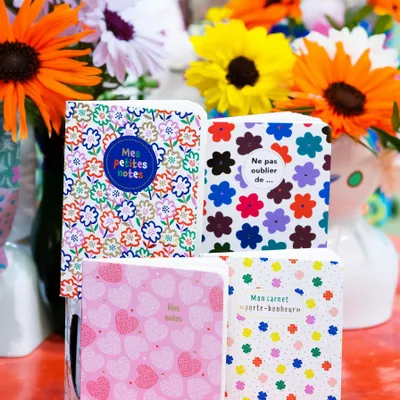 Papeterie - CARNETS SOUPLES DE POCHE - CARTESDART