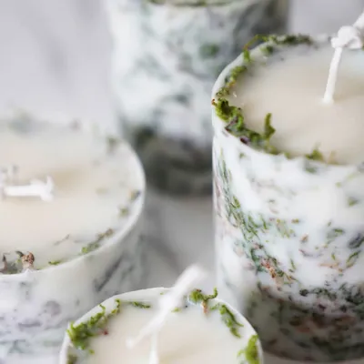 Bougies - Parmi les saules 40 - KOTT