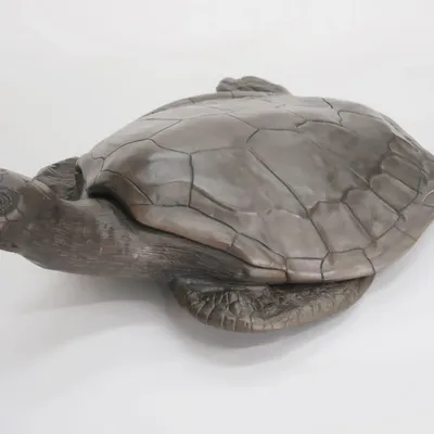 Design objects - Sea Turtle Object - GILLES CAFFIER