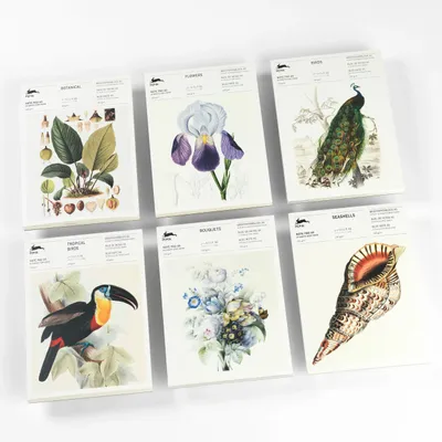 Gifts - Writing Pads & Envelopes - THE PEPIN PRESS
