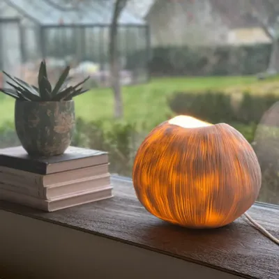 Céramique - Lampe à poser Luna et Chrysalis - ATELIER SUR LA RIVIERE - SYLVAIN FEZZOLI