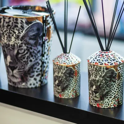 Decorative objects - SAVANNAH NIGHTS Fragrance Diffuser - 700ml | ARTITUDE HOME - ARTITUDE HOME