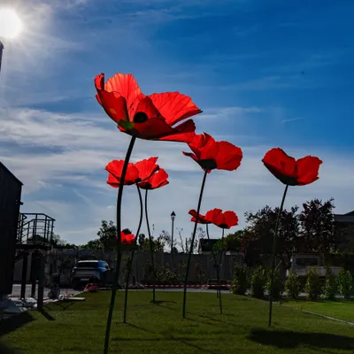 Floral decoration - Poppy - LA FLEUR MONUMENTALE