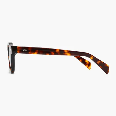 Glasses - Ushuaia - Espresso - LNKO
