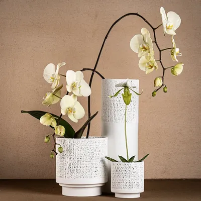 Vases - GAZE vase/ bowl/ votive/ pot - KLATT OBJECTS