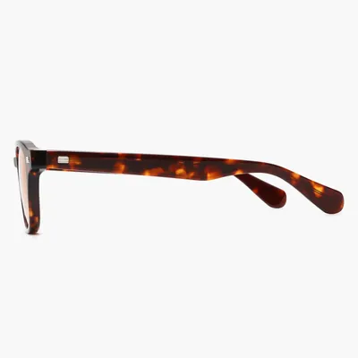 Glasses - Galapagos - Espresso - LNKO