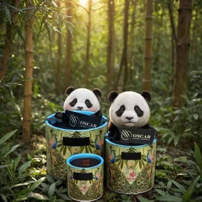 Candles - Paradise - OSCAR LUXURY CANDLES