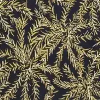 Fabric cushions - Cozip Tropic Outdoor Cushion | Elitis Fabric - COZIP