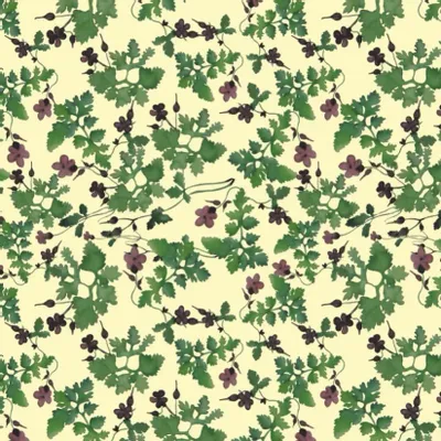 Linge de table textile - Botanique illustrée et inventée - LYDIE VACHER DESIGN MODE  ET DECORATION