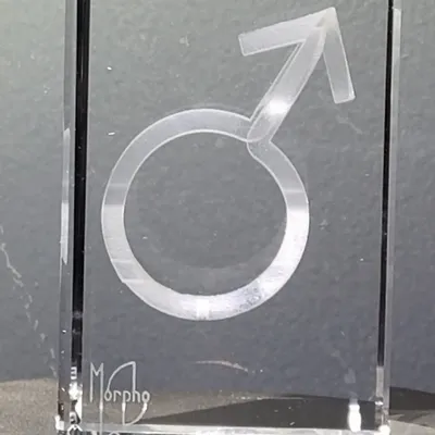 Sculptures, statuettes and miniatures - Limited Edition - Artwork "Genre!" by artist Morpho - LE DIGRAPHE