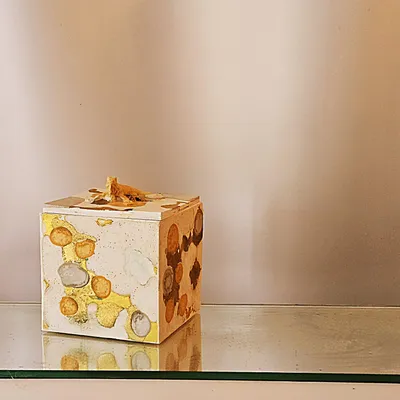 Decorative objects - Chameleon candle - PONPON CURIOSITAS