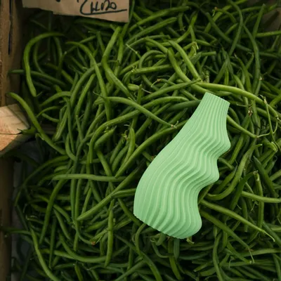 Design objects - Medium vegetable vase - ATELIER MAHD