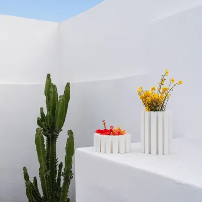 Design objects - Pédalo vase - ATELIER MAHD