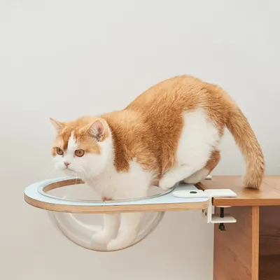 Etagères - Collection Cat Clamp — Meubles modulaires pour animaux de compagnie - POOCH & PURRR DESIGN
