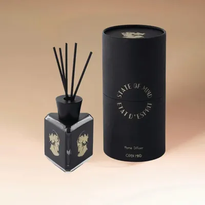 Diffuseurs de parfums - OPEN MIND Diffuseur d'ambiance - STATE OF MIND