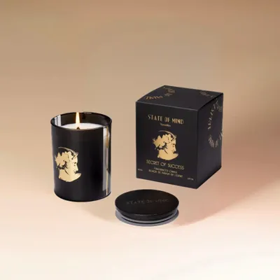 Design objects - SECRET OF SUCCESS Scented Candle 230g - STATE OF MIND
