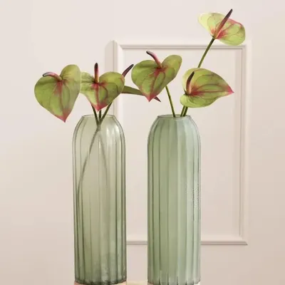 Décorations florales - ANTHURIUM FORTEZZA - LOU DE CASTELLANE