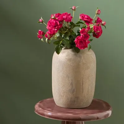 Décorations florales - ROSE ECUADOR - LOU DE CASTELLANE