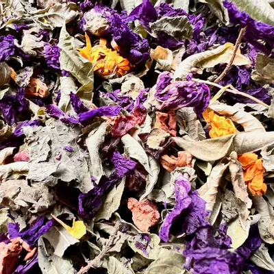 Coffee and tea - Leo Sign Box - MANTIQUE