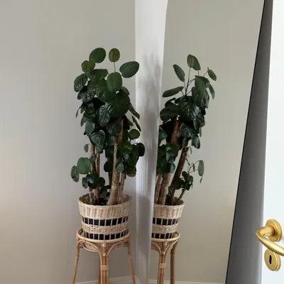 Miroirs - Miroir pleine longueur de style rétro (98x183cm) - SCANDINAVIAN GLASSFACTORY