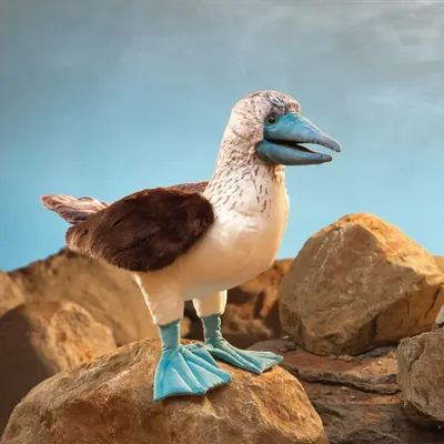 Peluches - Fou à pieds bleus - FOLKMANIS PUPPETS