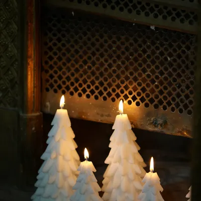 Objets de décoration - Bougie "Sapin" - CIERGERIE DES PREMONTRES