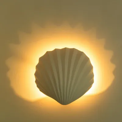 Wall lamps - Minorque (shell) - Wall lamp - MONOCHROMIC CERAMIC