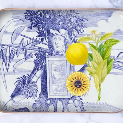 Trays - Half-size enamelled tray\" The Prince Gardener\ " - PARADISIO IMAGINARIUM