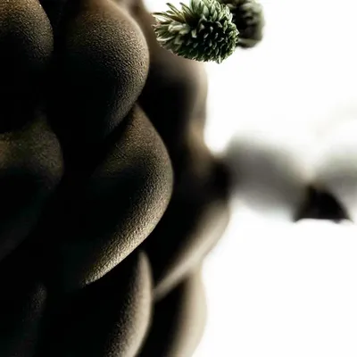 Vases - HARMONY - ARTEMA