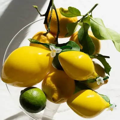 Decorative objects - Lemon Zest - ALYA TANNOUS