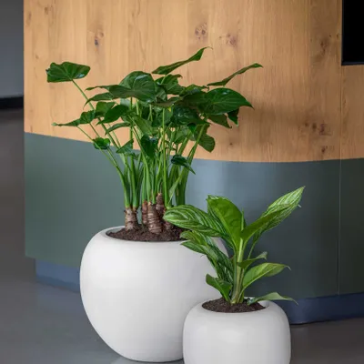 Pots de fleurs - Collection Elemental - POTTERY POTS