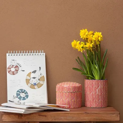 Sets de bureaux  - Carnet de notes BLUE SPLASHY CAT - TRANQUILLO