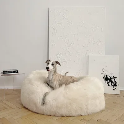Lits - Lit ovale pour animal en peau de mouton naturelle – blanc - MELLOW CONCEPT STORE
