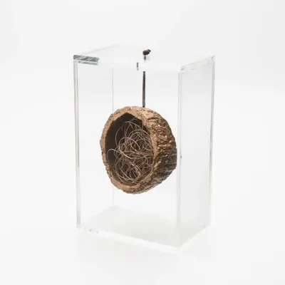Objets design - CX P OURIÇO COBRE C/FIO COBRE - YAC OBJETOS SUSTENTÁVEIS