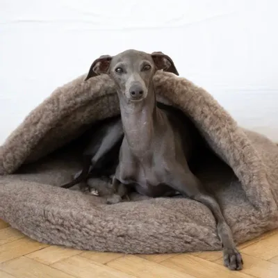 Lits - Grotte pour Animal en Laine Naturelle – Beige - MELLOW CONCEPT STORE