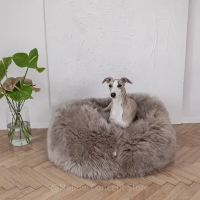 Beds - Oval Natural Sheepskin Pet Bed - Greige - MELLOW CONCEPT STORE