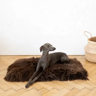 Beds - Square or Rectangular Natural Sheepskin Pet Mat - Brown - MELLOW CONCEPT STORE
