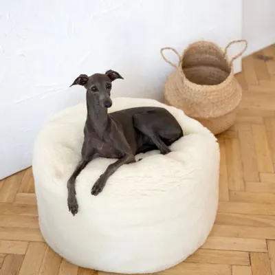 Beds - Oval Natural Wool Pet Bed - White - MELLOW CONCEPT STORE