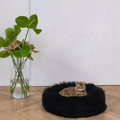 Beds - Round Natural Sheepskin Pet Bed - Black - MELLOW CONCEPT STORE