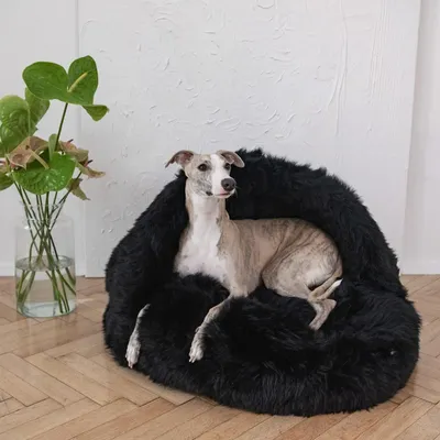 Beds - Natural Sheepskin Pet Cave - Black - MELLOW CONCEPT STORE