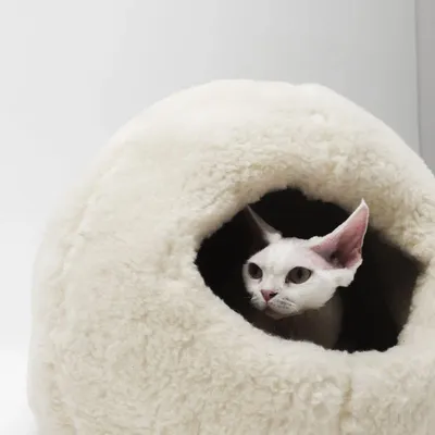Beds - Nest Natural Woolen Pet Bed - White - MELLOW CONCEPT STORE