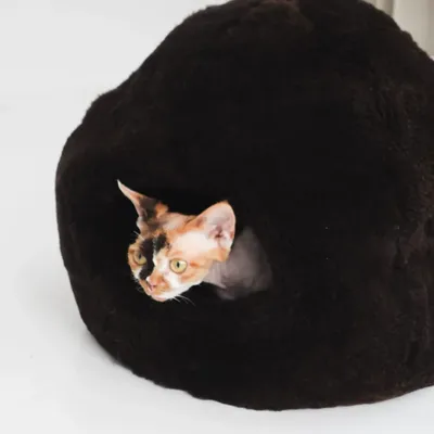 Beds - Nest Natural Sheepskin Pet Bed - Brown - MELLOW CONCEPT STORE