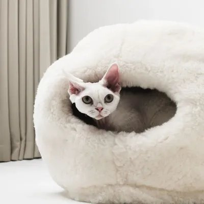 Beds - Nest Natural Sheepskin Pet Bed - White - MELLOW CONCEPT STORE